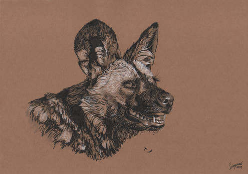 African wild dog (brush pen)