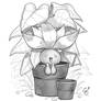 Oddish Doodle