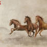 HORSE - 12 Chinese Zodiac