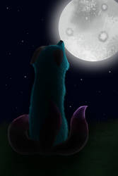Fox Looking At Moon