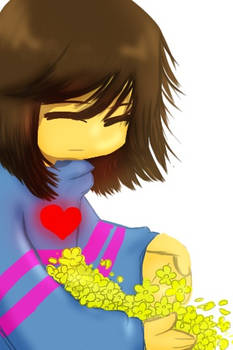 {Frisk Determination}