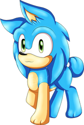 Sonic the puphog