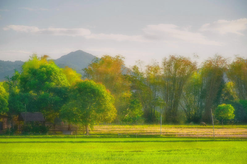 Countryside landscape...