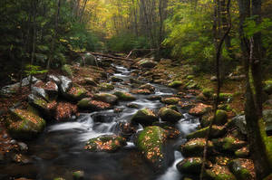 Tremont Golden Hour by ChadRouthier Tremont Golden Hour by ChadRouthier