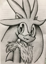 Silver the hedgehog doodle