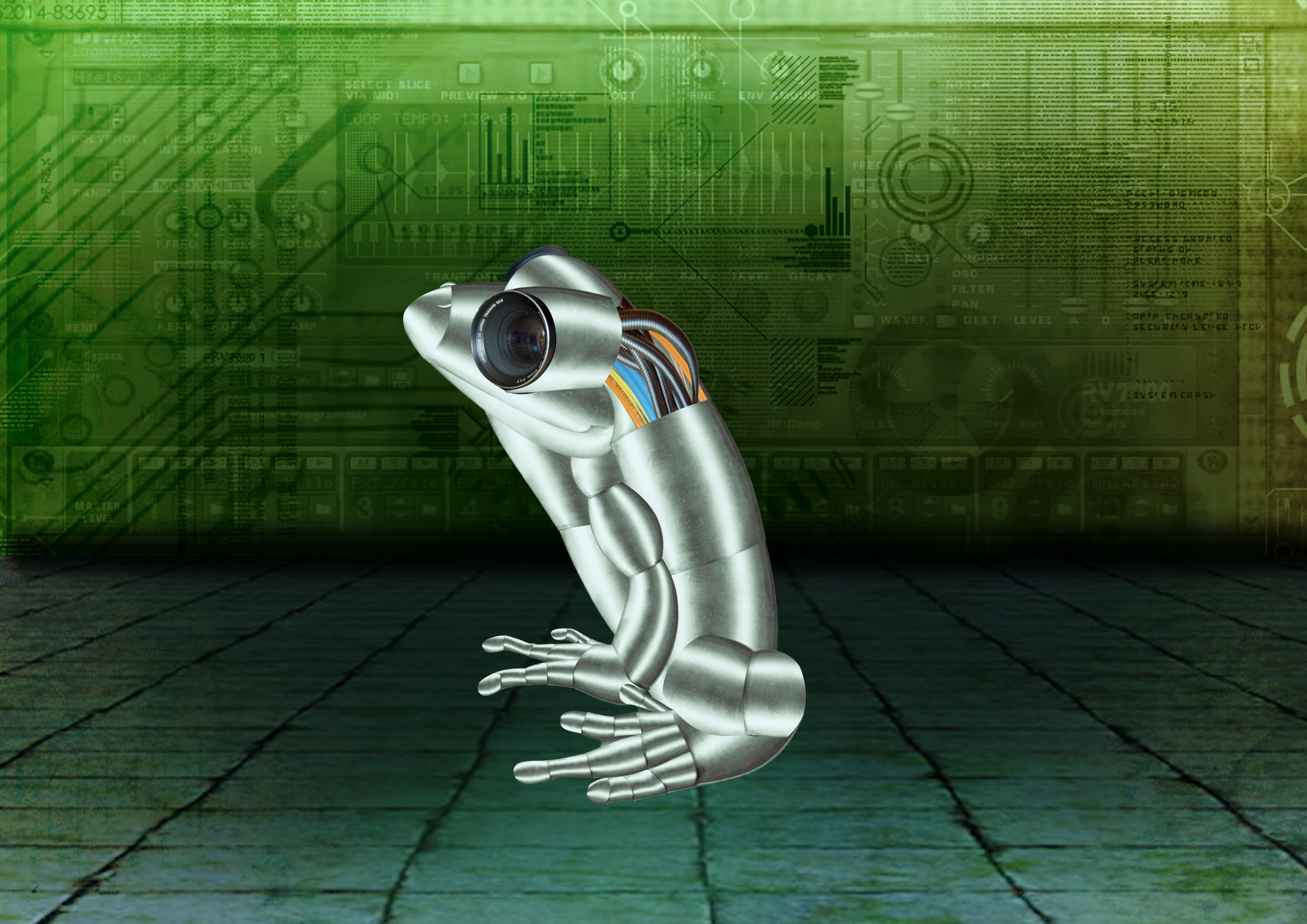 Robotic Frog