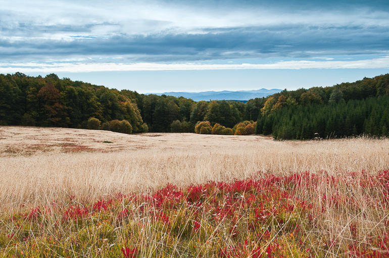 October rust by rott-man on DeviantArt