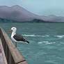 Seabird (90 minutes)