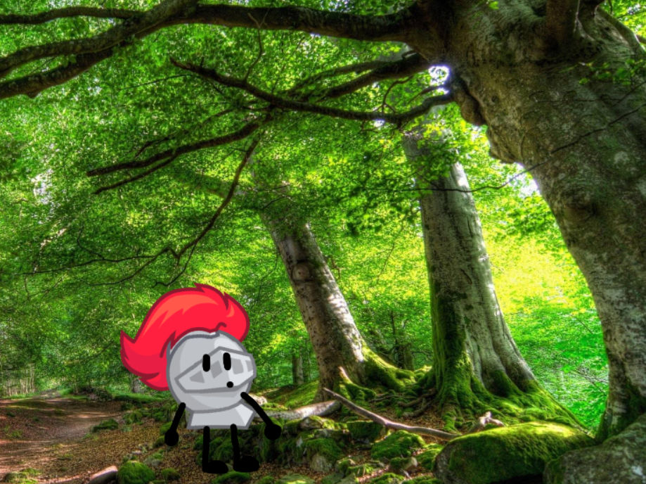 Tree Knight Meme Knight helmet and the tree by kimmychucart on DeviantArt