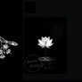 Steam Artwork - Lotus ( Black and White )