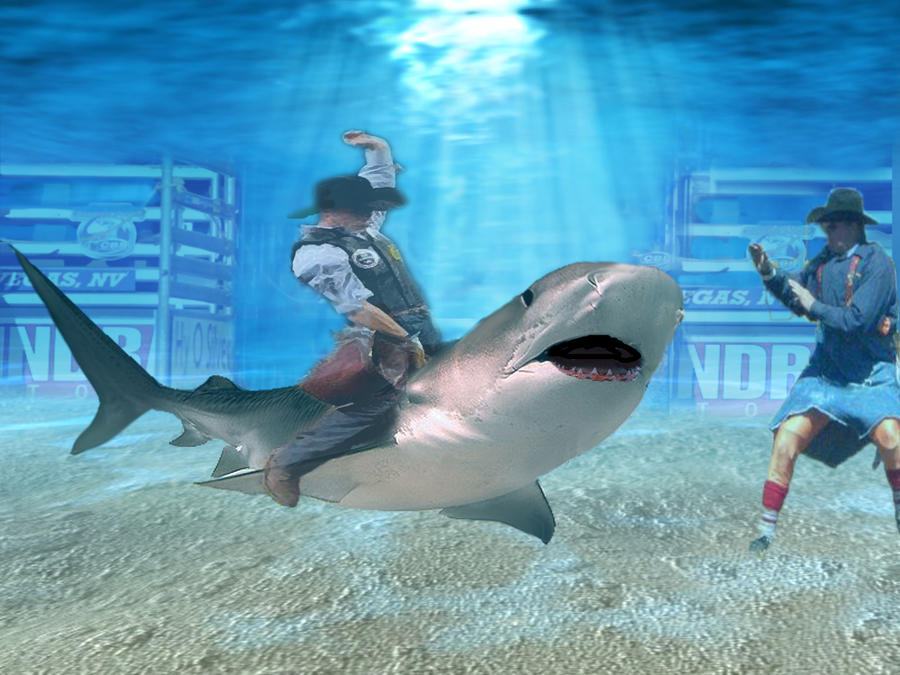 shark rodeo by grunt214 on DeviantArt