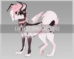 Canine Adopt NYP/OTA 27 [CLOSED]