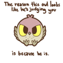 Judgemental Owl