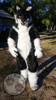 Tamaska Fullsuit