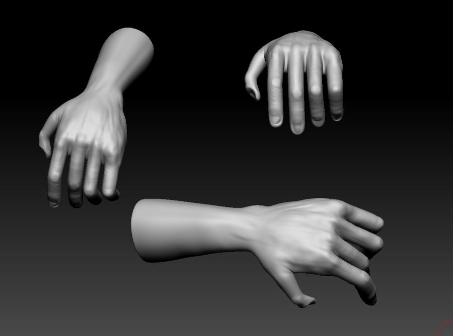 Hand Modeling Exercise n.2 by d4rkripper on DeviantArt
