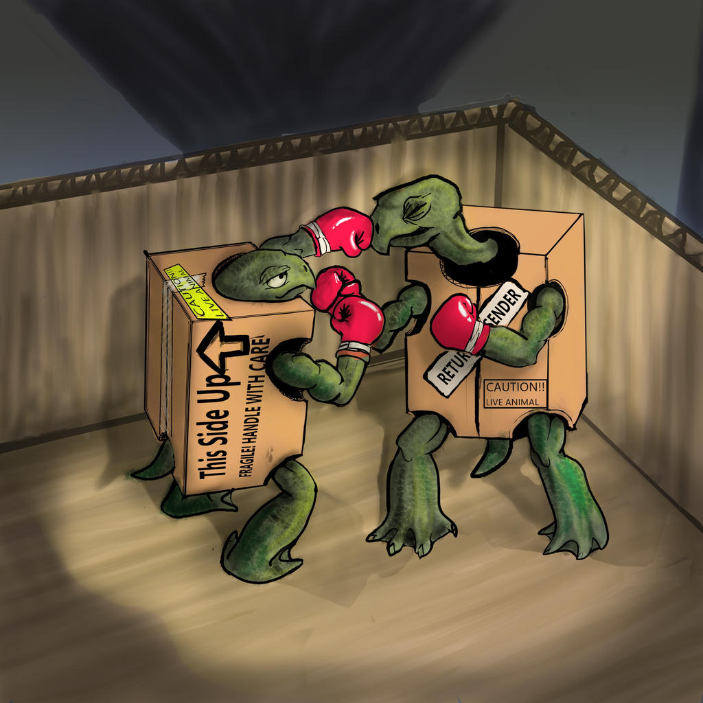 Turtle Defence Boxing Box Turtles Boxing In A Box1 by teaspoon42 on DeviantArt