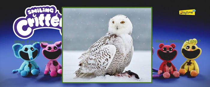 What If Snowy Owl Was A Smiling Critter