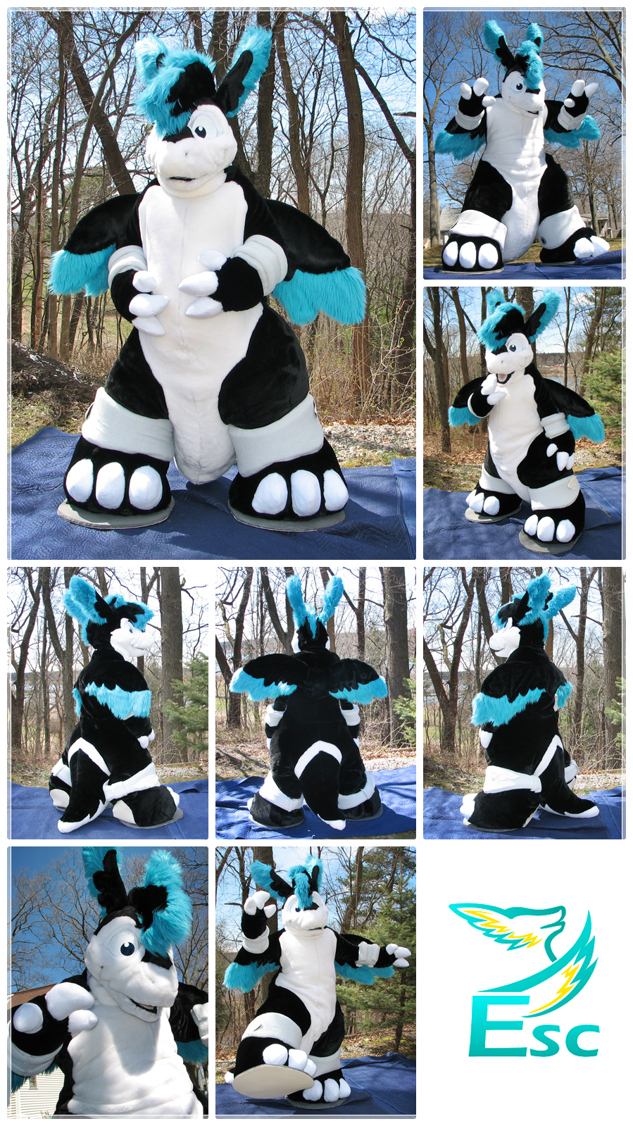 Rovanoak Black and White Dragon Fursuit (2016)