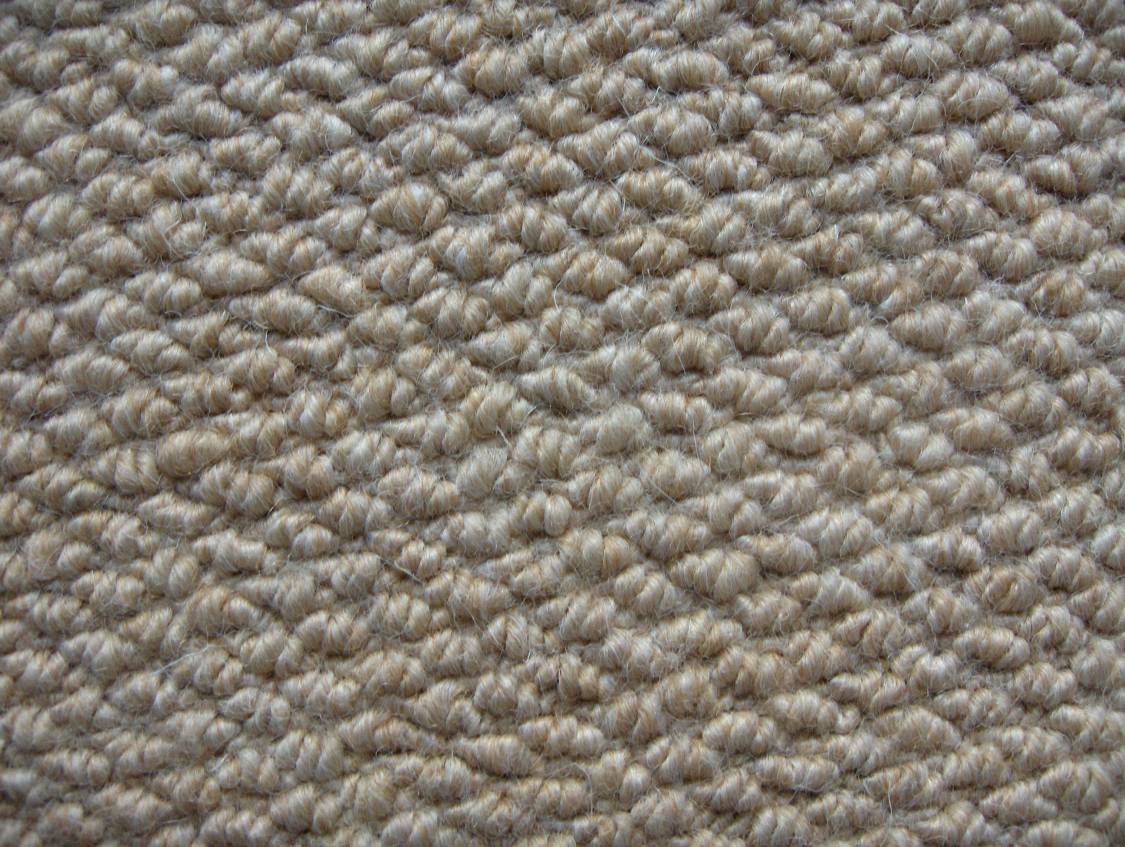 Carpet 01.....