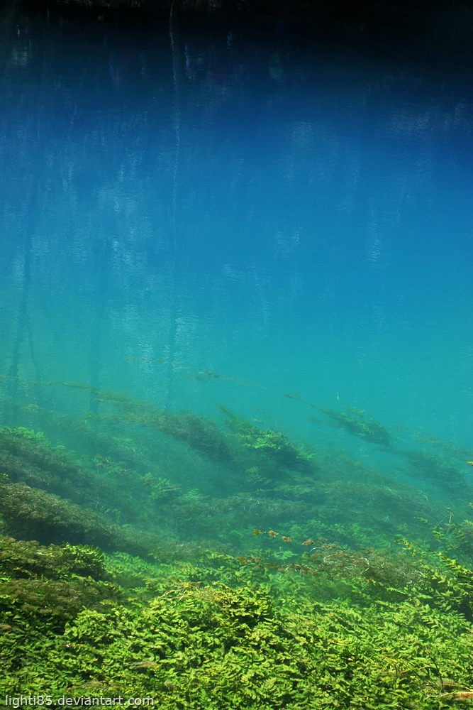 Colors Of The Blautopf