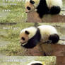 PANDAFAIL