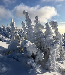 Babia Gora Mountain 4