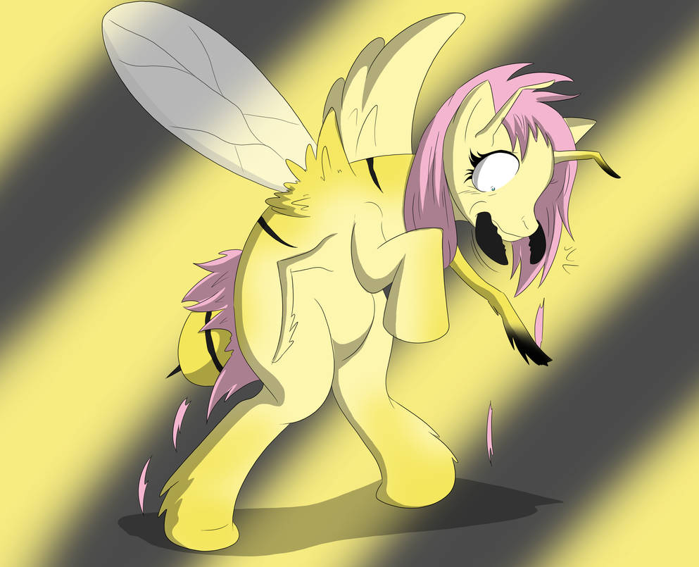Flutter Bee Deviantart Flutterbee by BPassion91 on DeviantArt