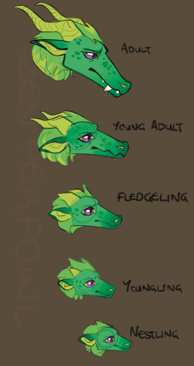 Deviantart Aging Process Aging Chart by ZenPeafowl on DeviantArt