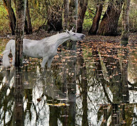 Muddy Unicorn WIP