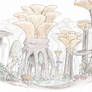 Mushroom forest