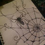 Spider web