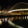 Calatrava Bridge