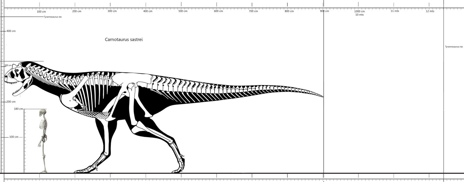 30+ Ide Keren Carnotaurus Size.