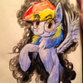 Rainbow Dash, a rly rad horse