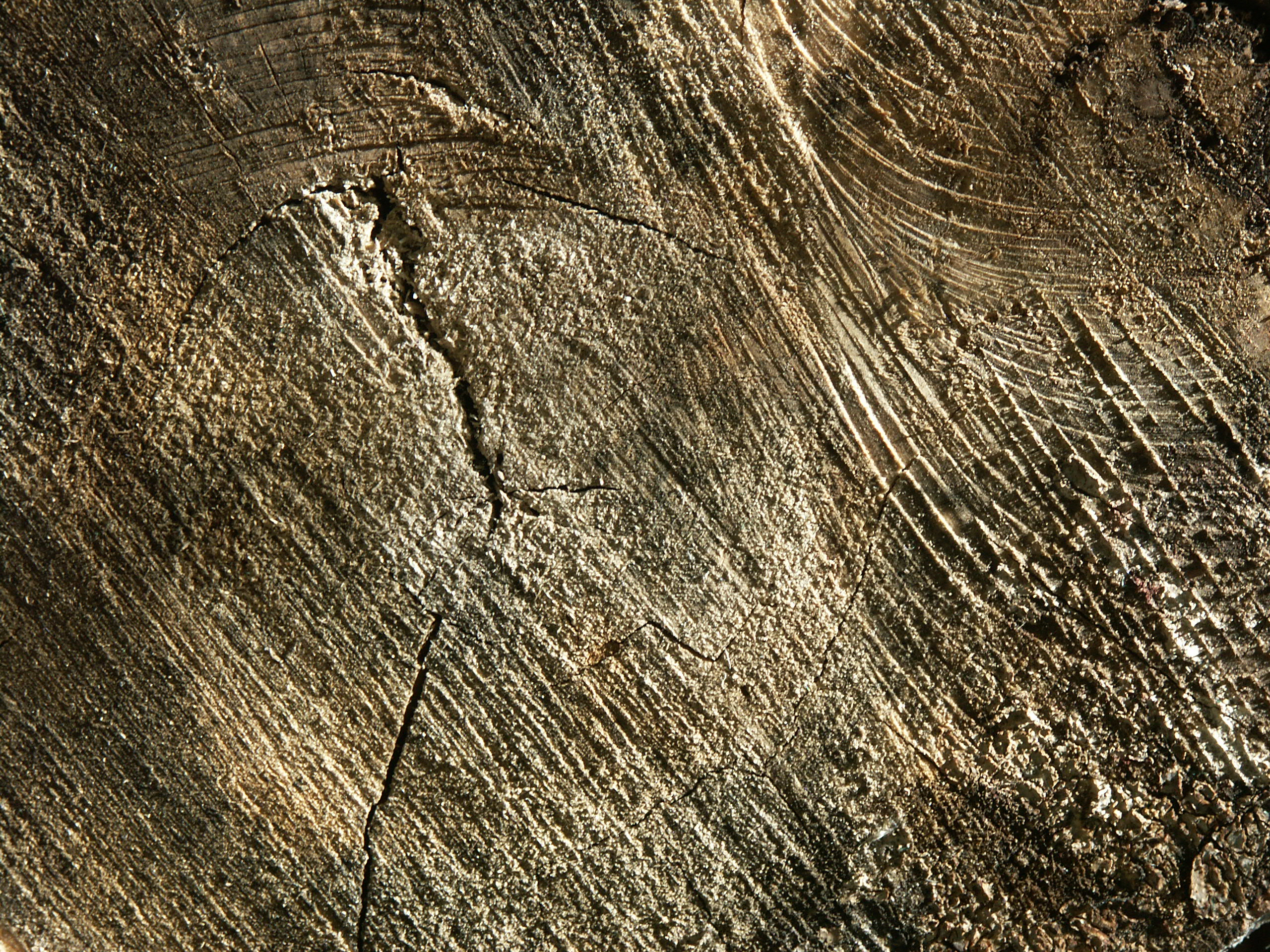 Wood Texture 2