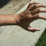 Claws 1