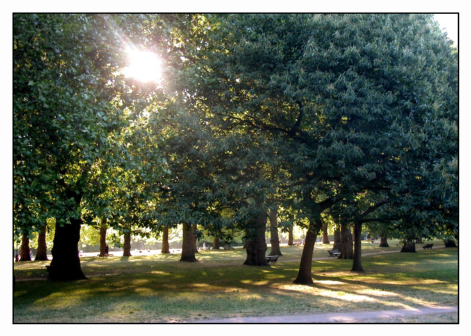 In Green Park