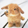 Warrior Rabbit