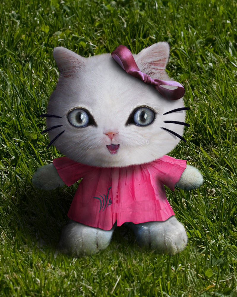 Hello Kitty Real by Zakfuego on DeviantArt Hello Kitty Real by Zakfuego on DeviantArt