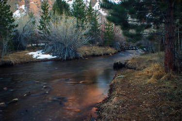 Bishop Creek Rust