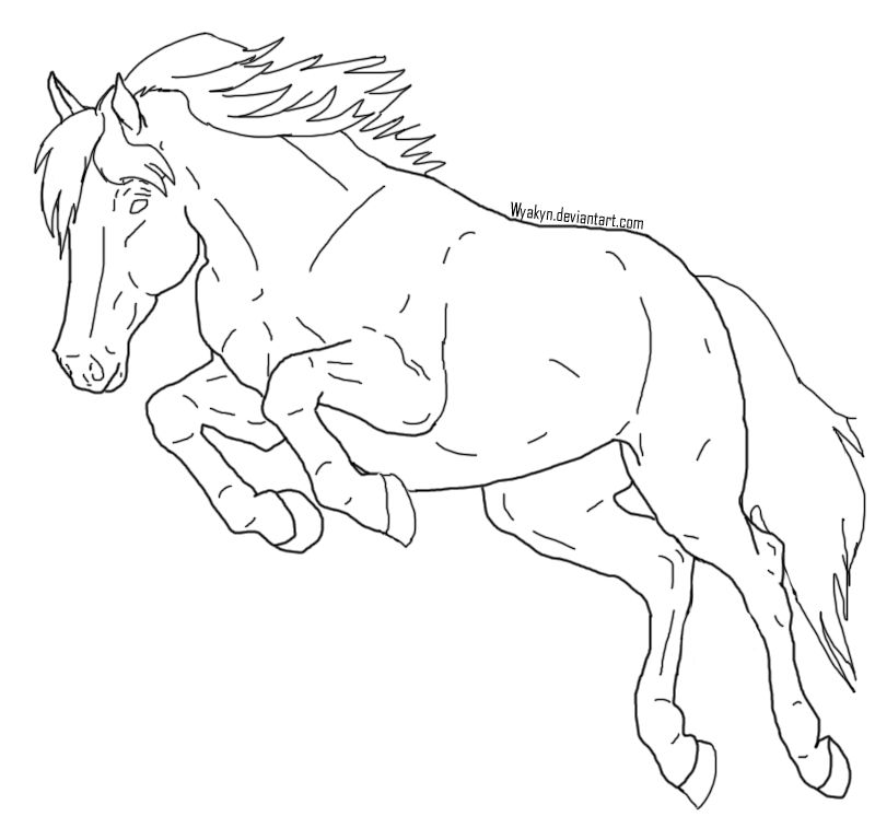 Jumping Horse Lineart by Wyakyn on DeviantArt