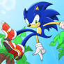 Sonic