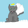 Bella the cat angel!