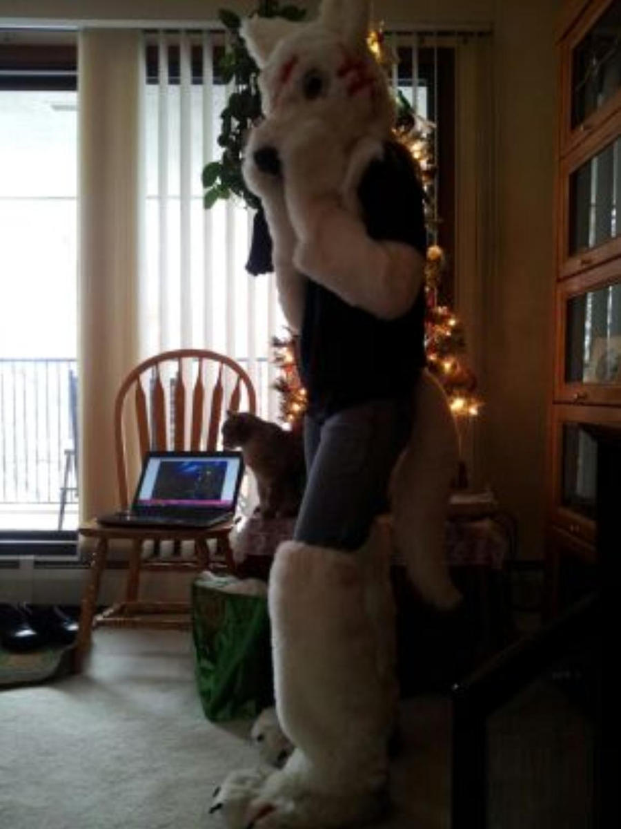 GDW - Kyoushiro fursuit partial WIP