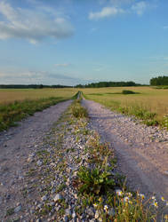 Road Through The Fields 2