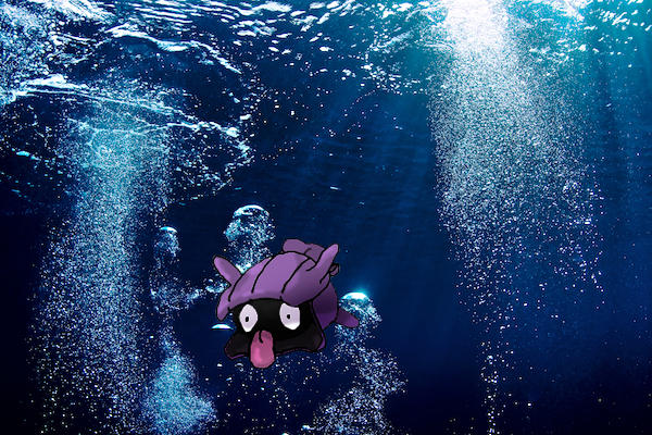 Shellder with background by shinigamigirl93 on DeviantArt