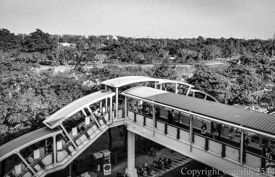 Sky Train View