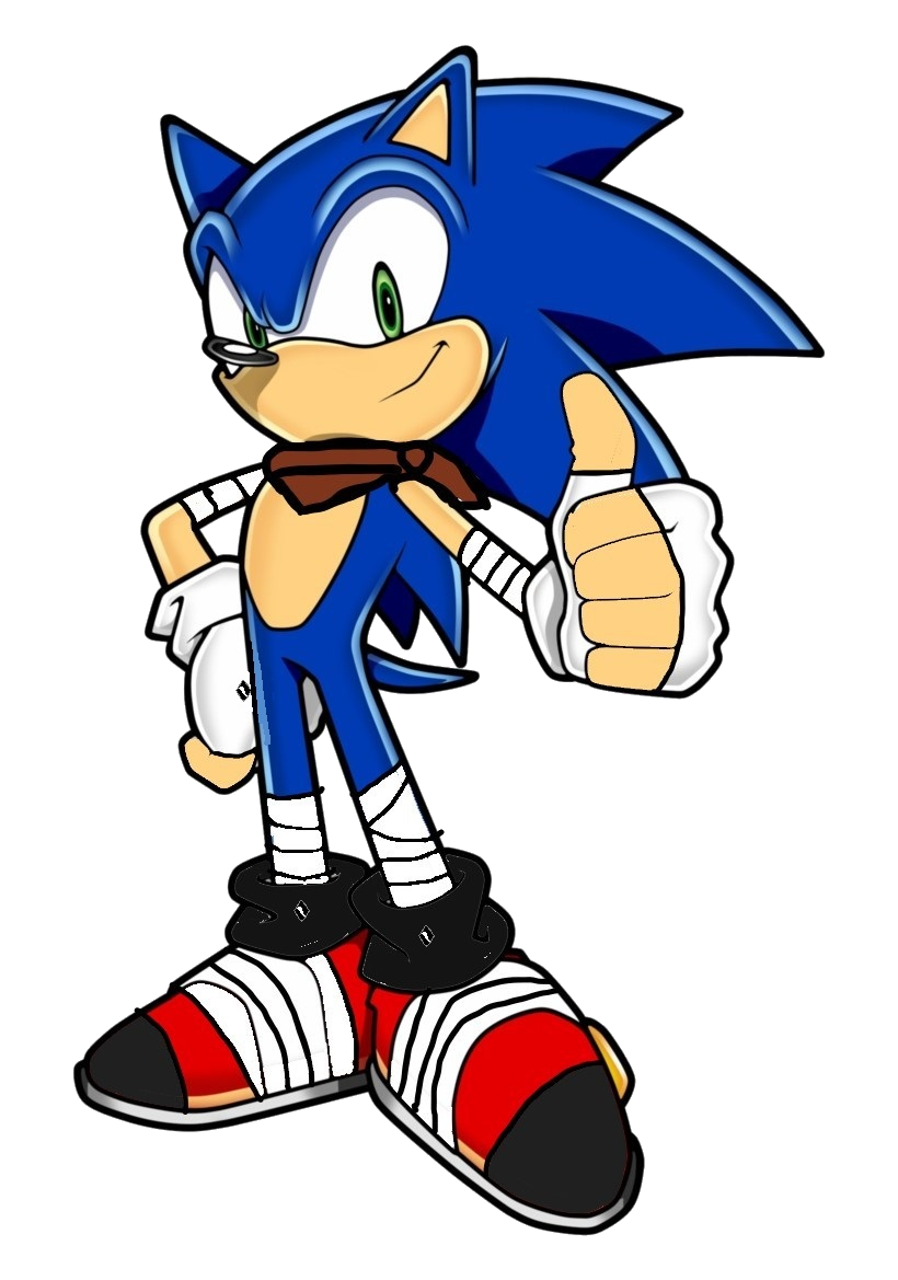 Team DS Sonic The Hedgehog Outfit by jongar8 on DeviantArt