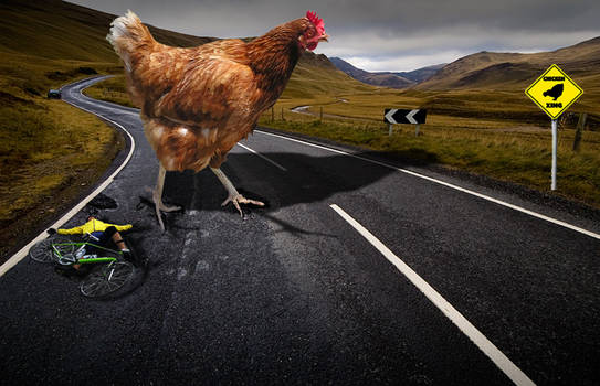 Why DID The Chicken Cross The Road?