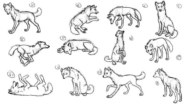 Wolf poses